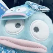 ゅの画像