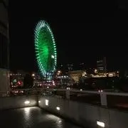 さくらの画像