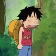 はちみつの画像