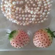白いちごの画像