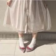 あんずの画像