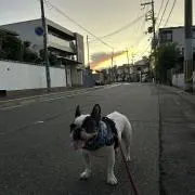 ルート176の画像