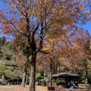sskの画像