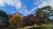 うさ弧の画像