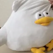 とりもも
