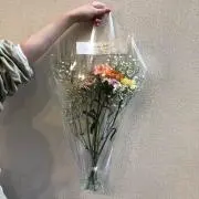 Yuの画像