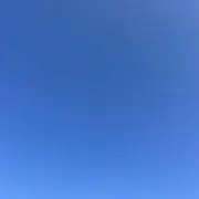 mameの画像