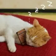 ロールパンナの画像