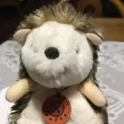 こころ　プロフご覧下さい♡の画像