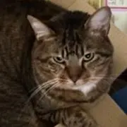 いっちゃん
