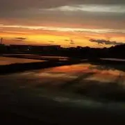 しょこり