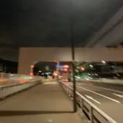 ゴン狐・プロフ必読の画像