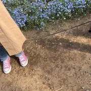 たらこ