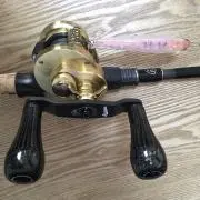 Shoheiの画像