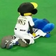 ゆいの画像
