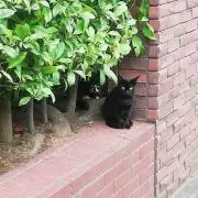 れとの画像