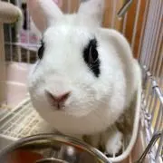 こたろう