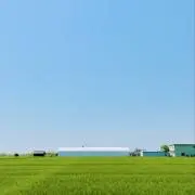 ジェイムソンの画像