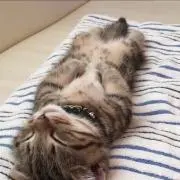 化粧品売り尽くしの画像