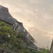はやかわの画像
