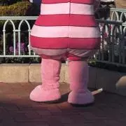 きなこの画像