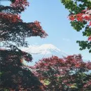 haruko_01