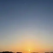 ぽてとの画像