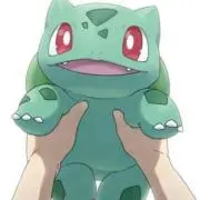 フシギダネのぱぱの画像