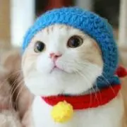 さくら