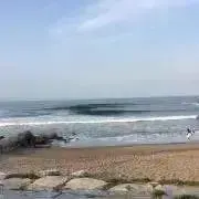 アロハサーフの画像
