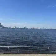 ぽてとの画像