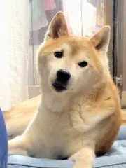 user_b032144bの画像