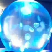 JellyFishの画像