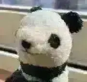 のいとあ（いつもありがとうごさいます！）の画像