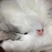 ★KATSUYA★プロフ必読★の画像