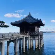 スヌさんの画像