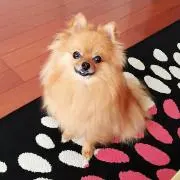 けいちの画像