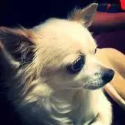 NANA【プロフィール必読お願いします】の画像
