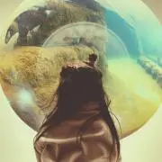 り★かの画像