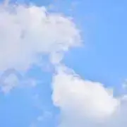 Mnkの画像