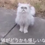 まなな