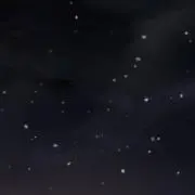 ゆの画像