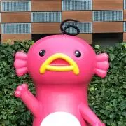 chichichiの画像