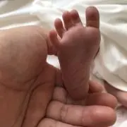 ふうなの画像