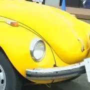 なつの画像