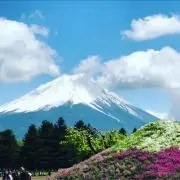 さとみんの画像