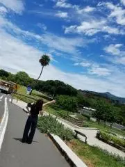 maaの画像
