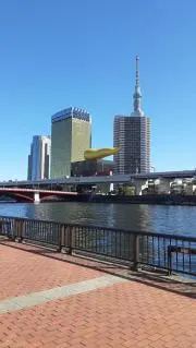 荒川沿いの主の画像