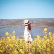 aaaの画像