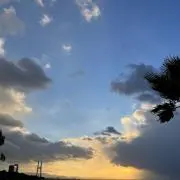 ちゃちゃまるの画像